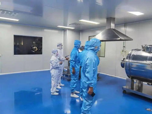 江西保健食品生产企业体系检查 视讯会议系统助力风险隐患排查