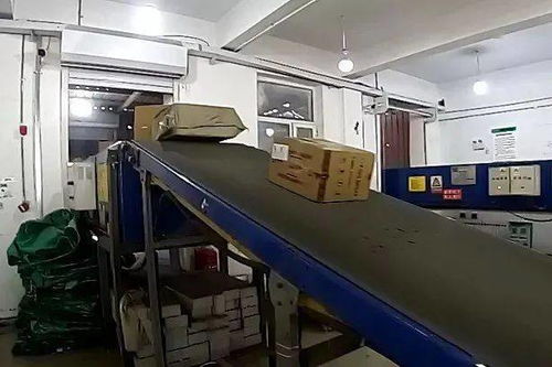 自治区市场监管系统运用视讯系统开展节日食品安全与疫情防控双查行动